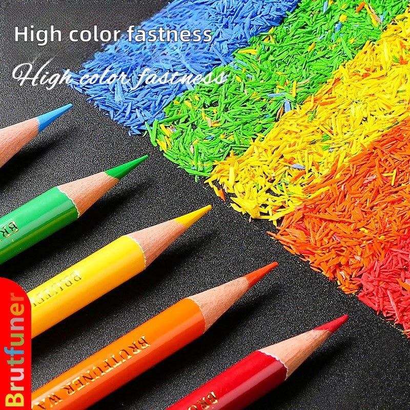 Colors Oil Pencils - Professional Art Supplies