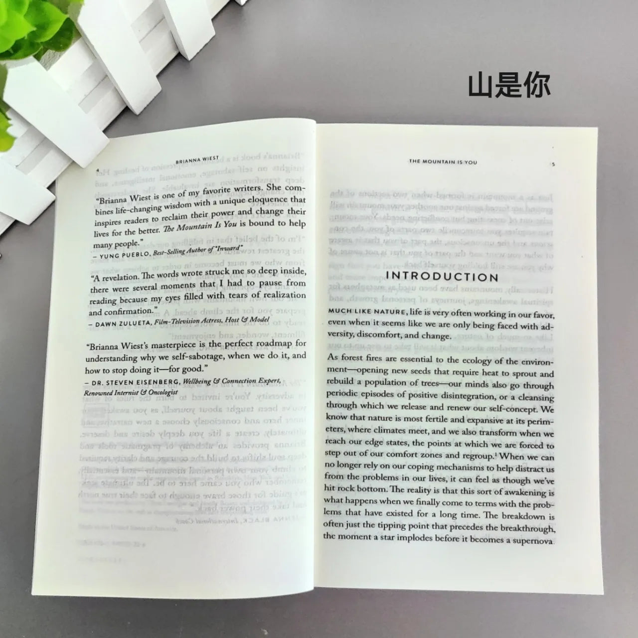 The Mountain is You, Self Transformation Book English Version