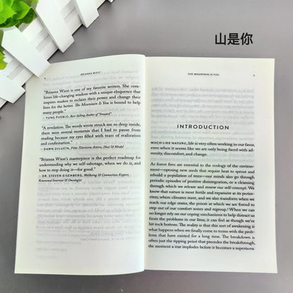 The Mountain is You, Self Transformation Book English Version