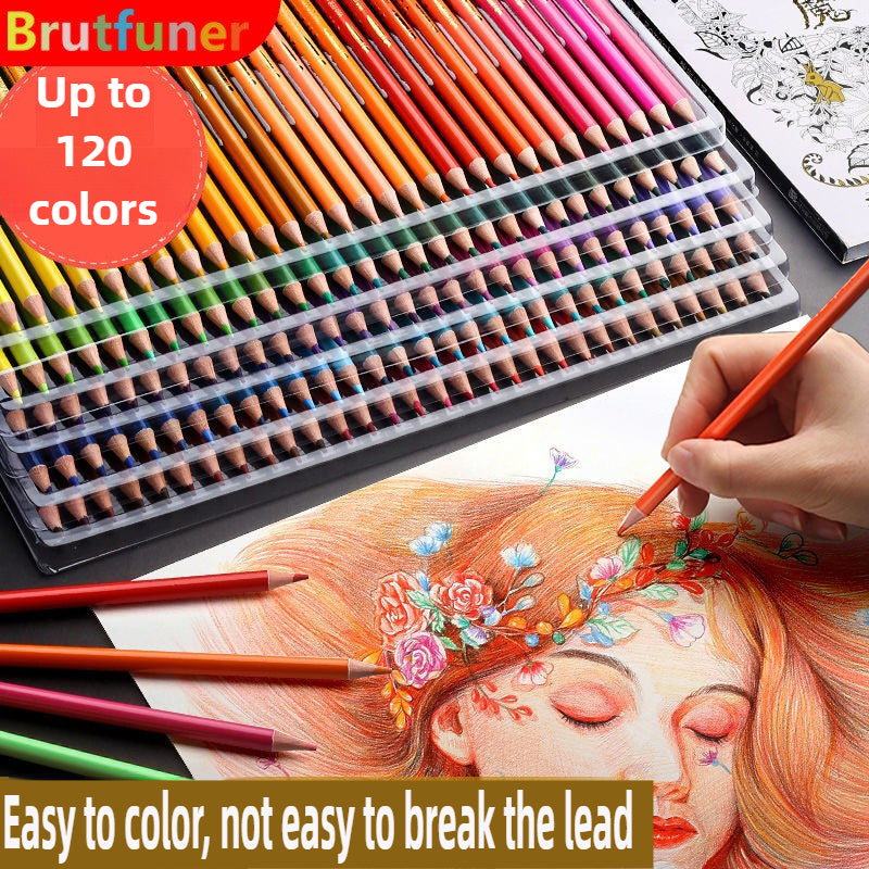 Colors Oil Pencils - Professional Art Supplies