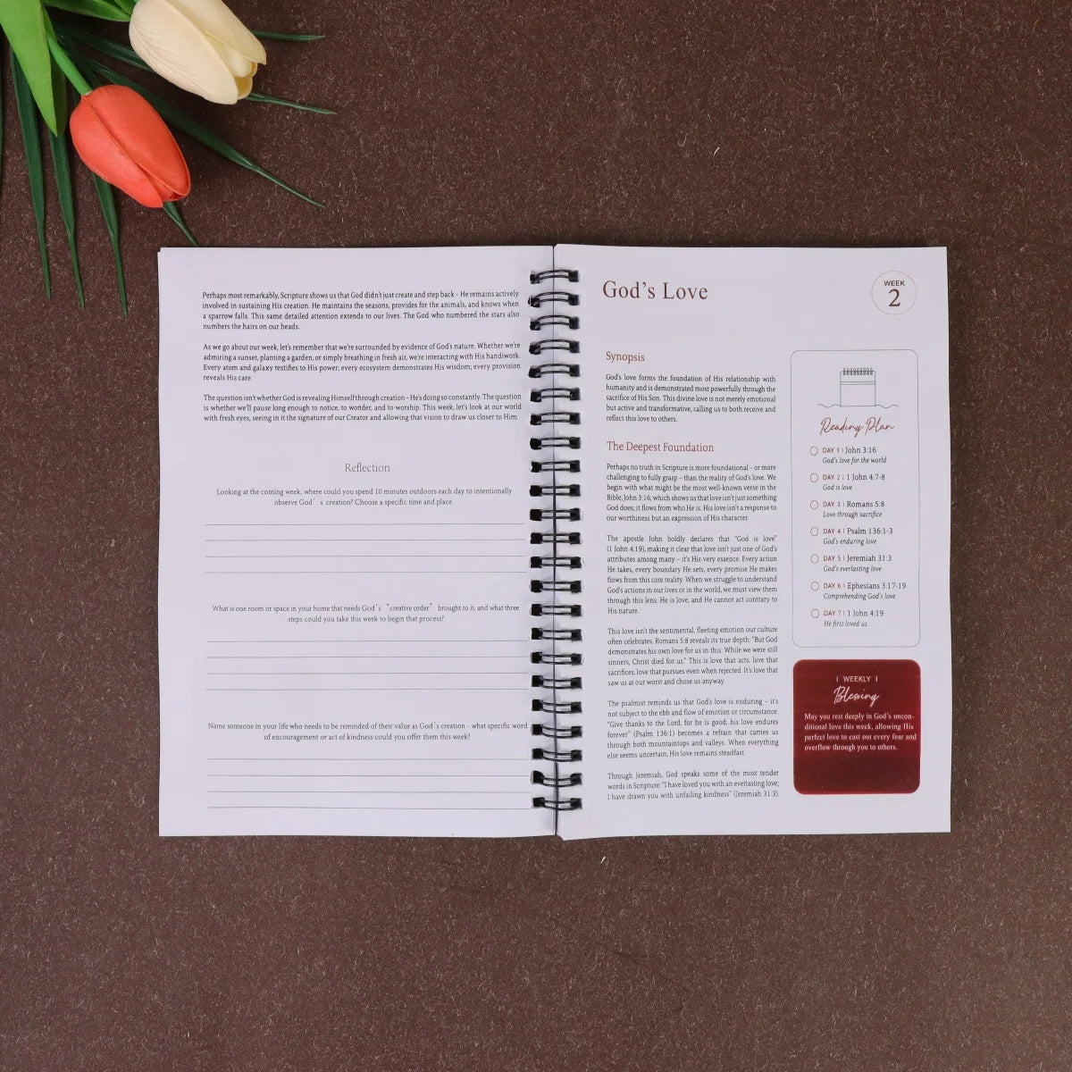 The 365 Day Bible Study Workbook For Women: A Year of Empowering, Strengthen Your Spirit,Build Your Relationship with God