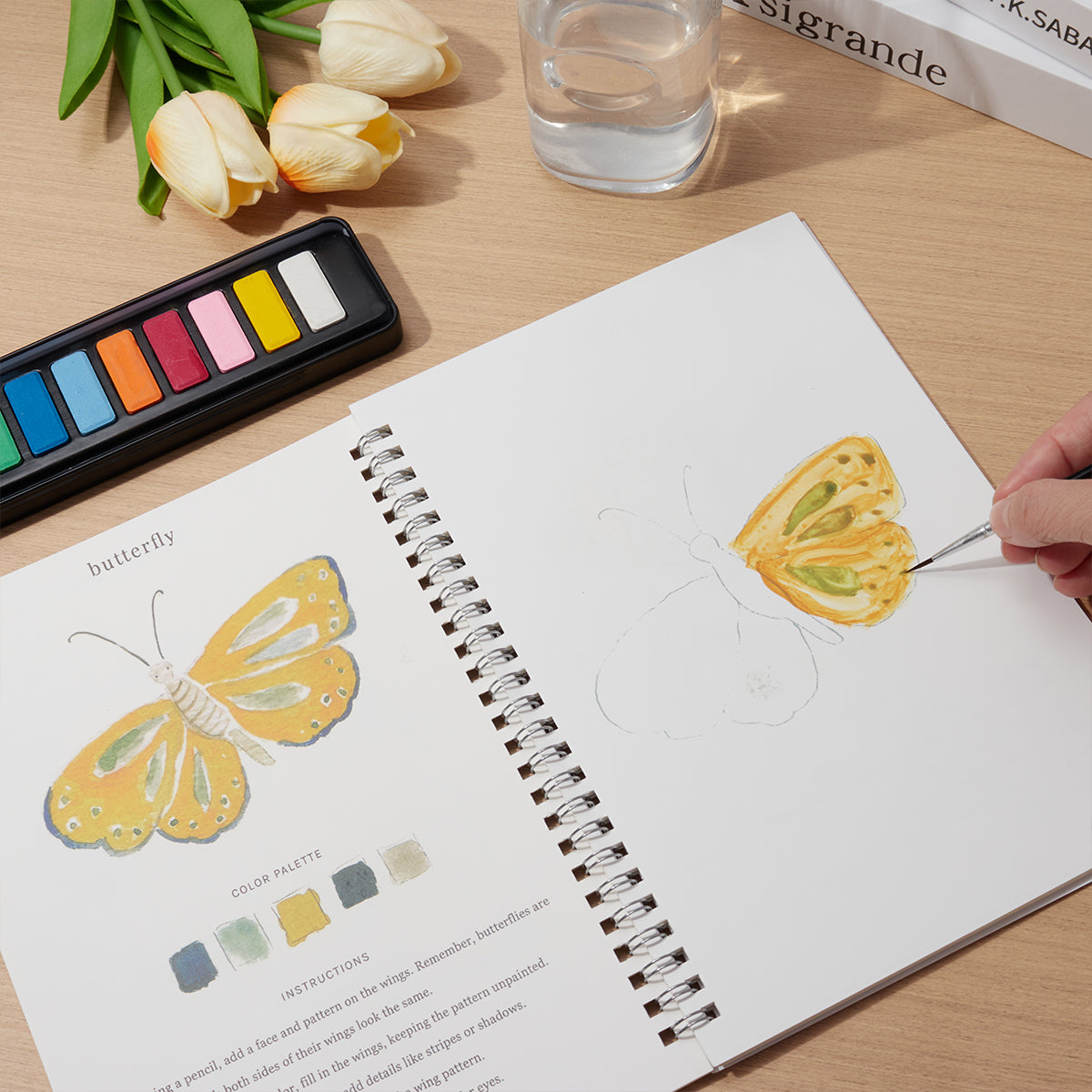 Workbooks: Birds Coloring Book - Watercolor Fun for Kids & Adults
