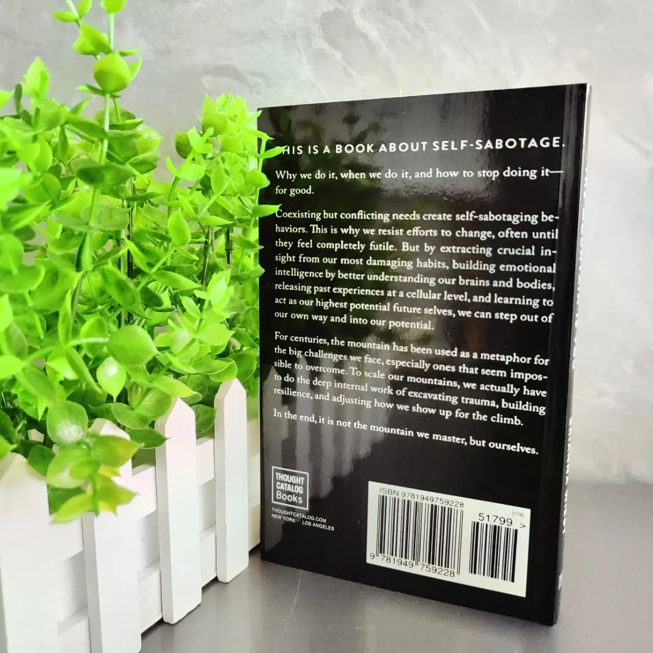 The Mountain is You, Self Transformation Book English Version