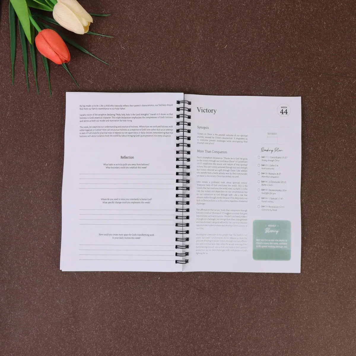 The 365 Day Bible Study Workbook For Women: A Year of Empowering, Strengthen Your Spirit,Build Your Relationship with God