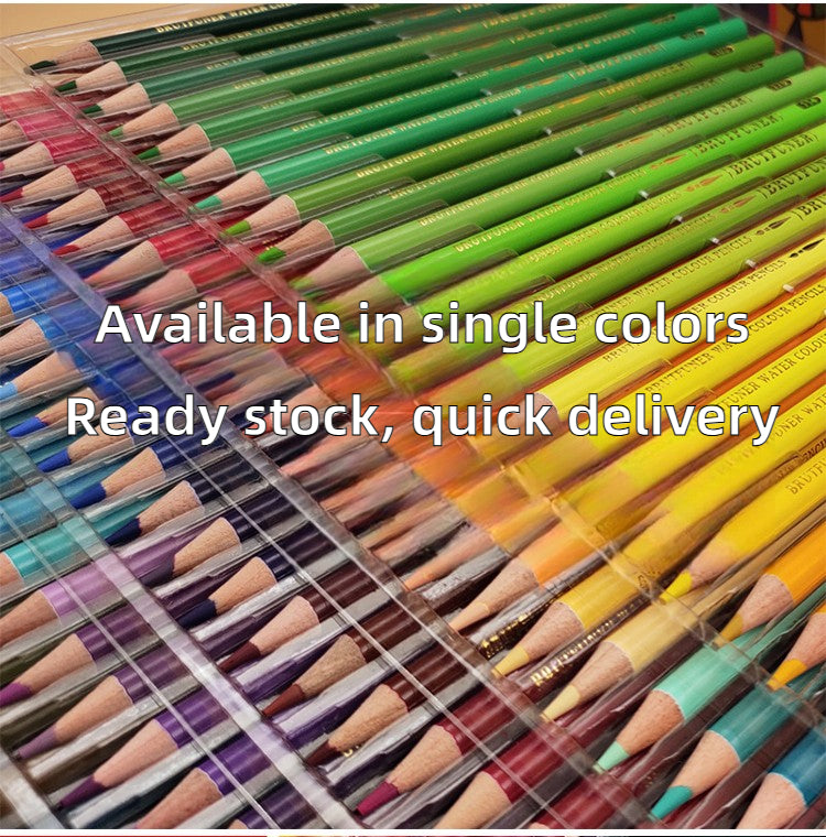 Colors Oil Pencils - Professional Art Supplies
