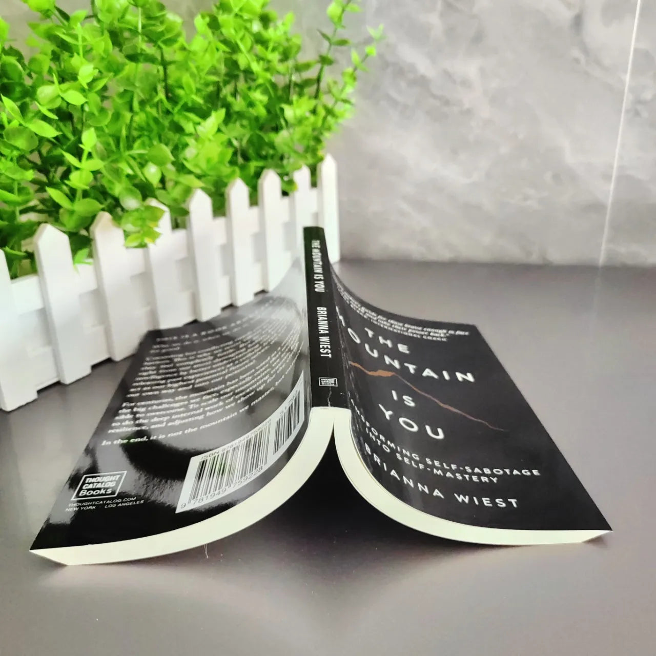The Mountain is You, Self Transformation Book English Version
