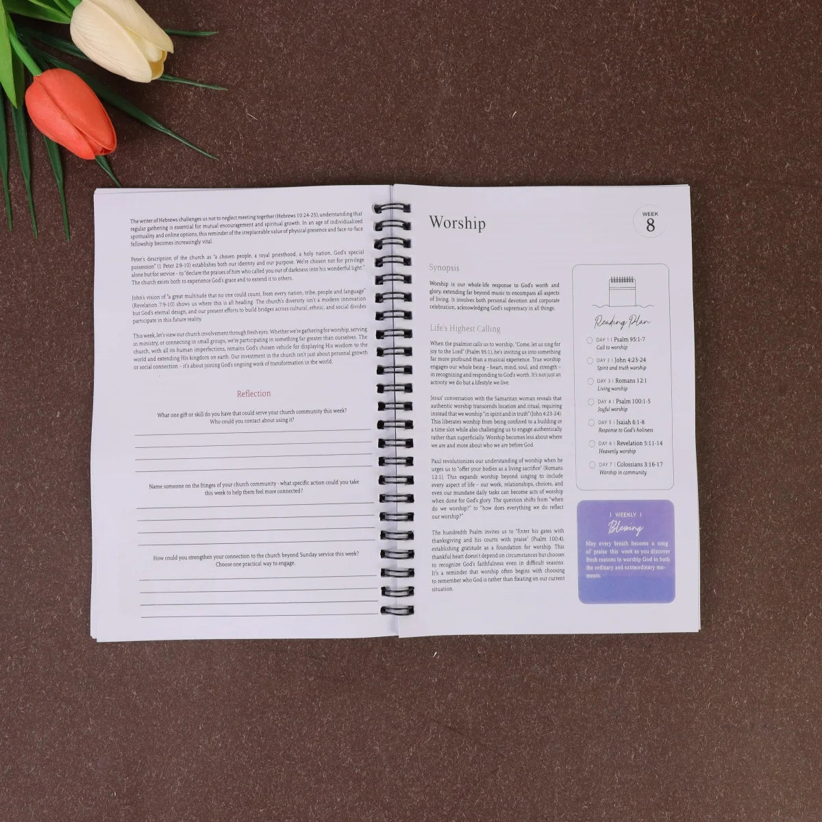 The 365 Day Bible Study Workbook For Women: A Year of Empowering, Strengthen Your Spirit,Build Your Relationship with God