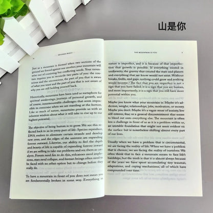 The Mountain is You, Self Transformation Book English Version