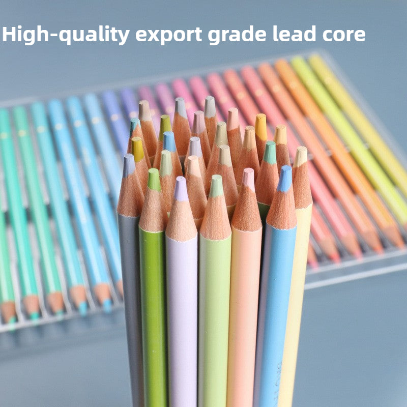 Colors Oil Pencils - Professional Art Supplies