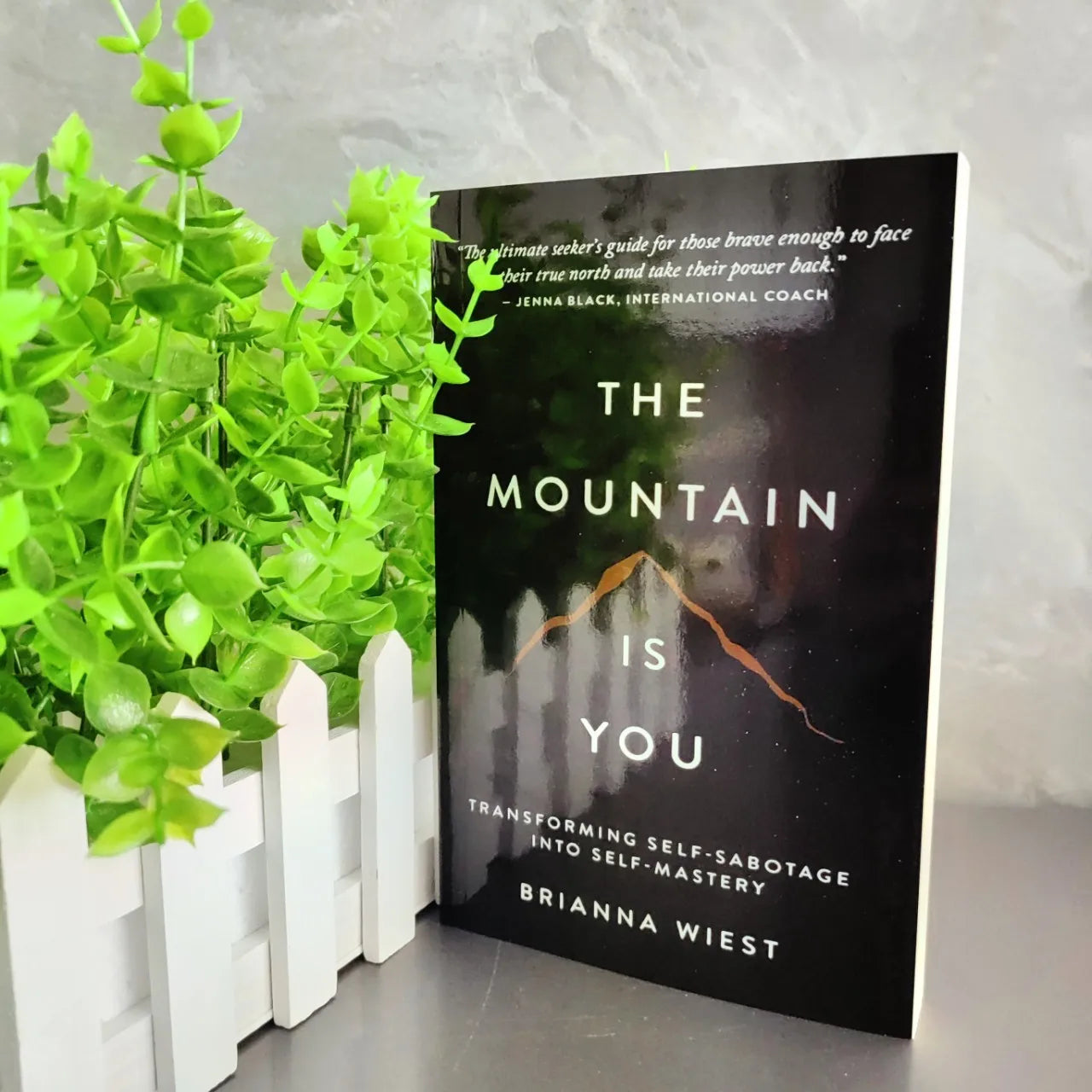 The Mountain is You, Self Transformation Book English Version