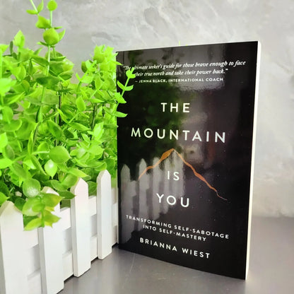 The Mountain is You, Self Transformation Book English Version