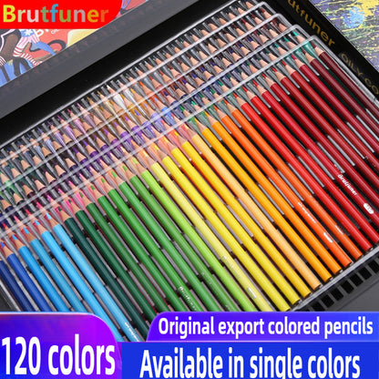Colors Oil Pencils - Professional Art Supplies