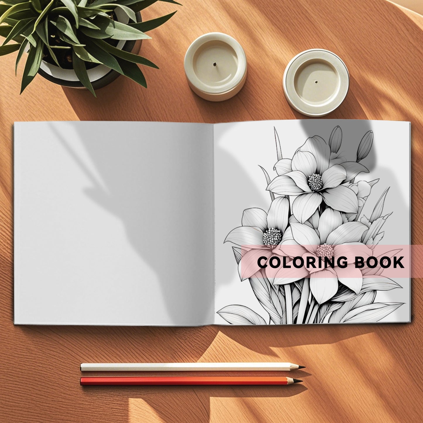 Adult Art Coloring Book: Stress Relief & Creativity