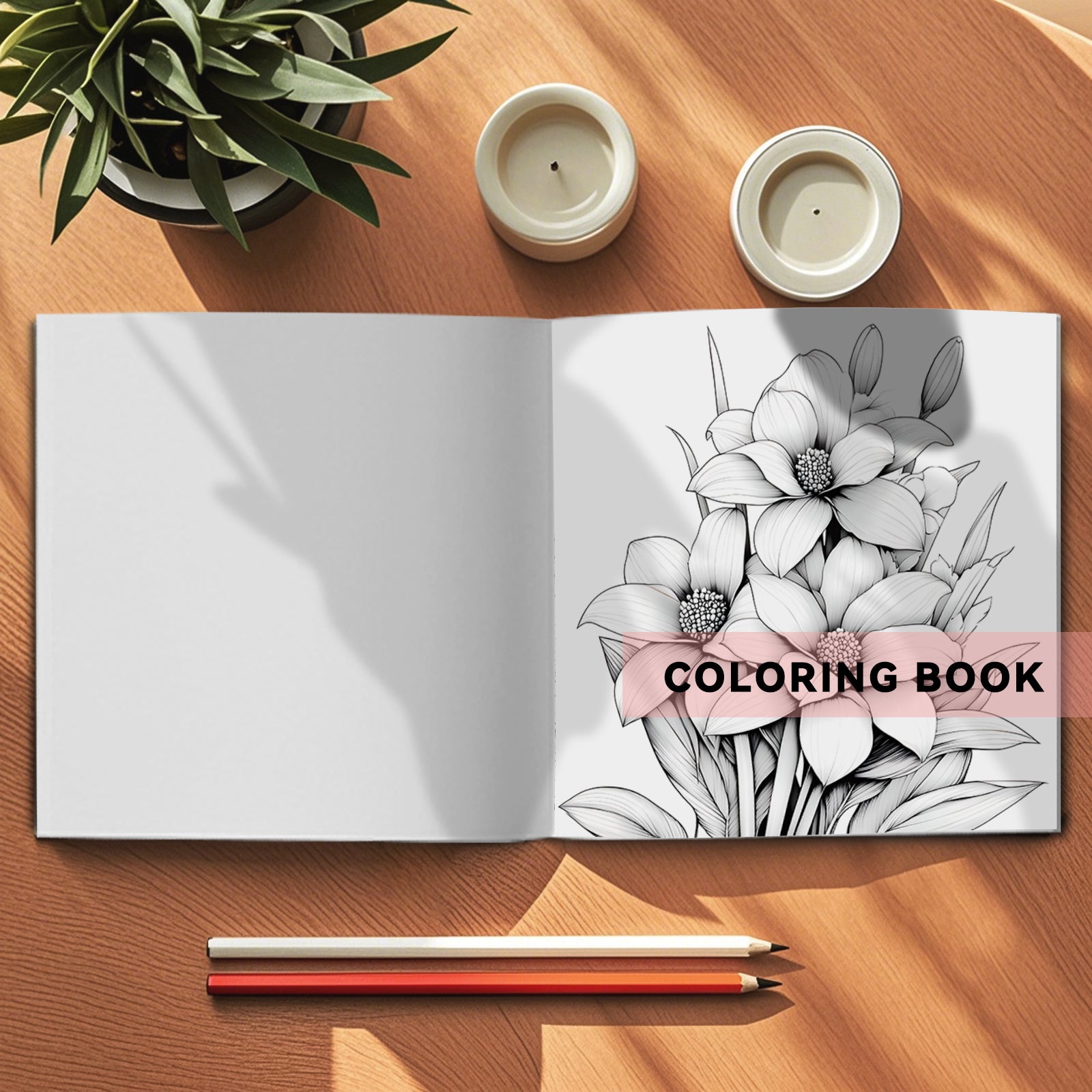 Adult Art Coloring Book: Stress Relief & Creativity